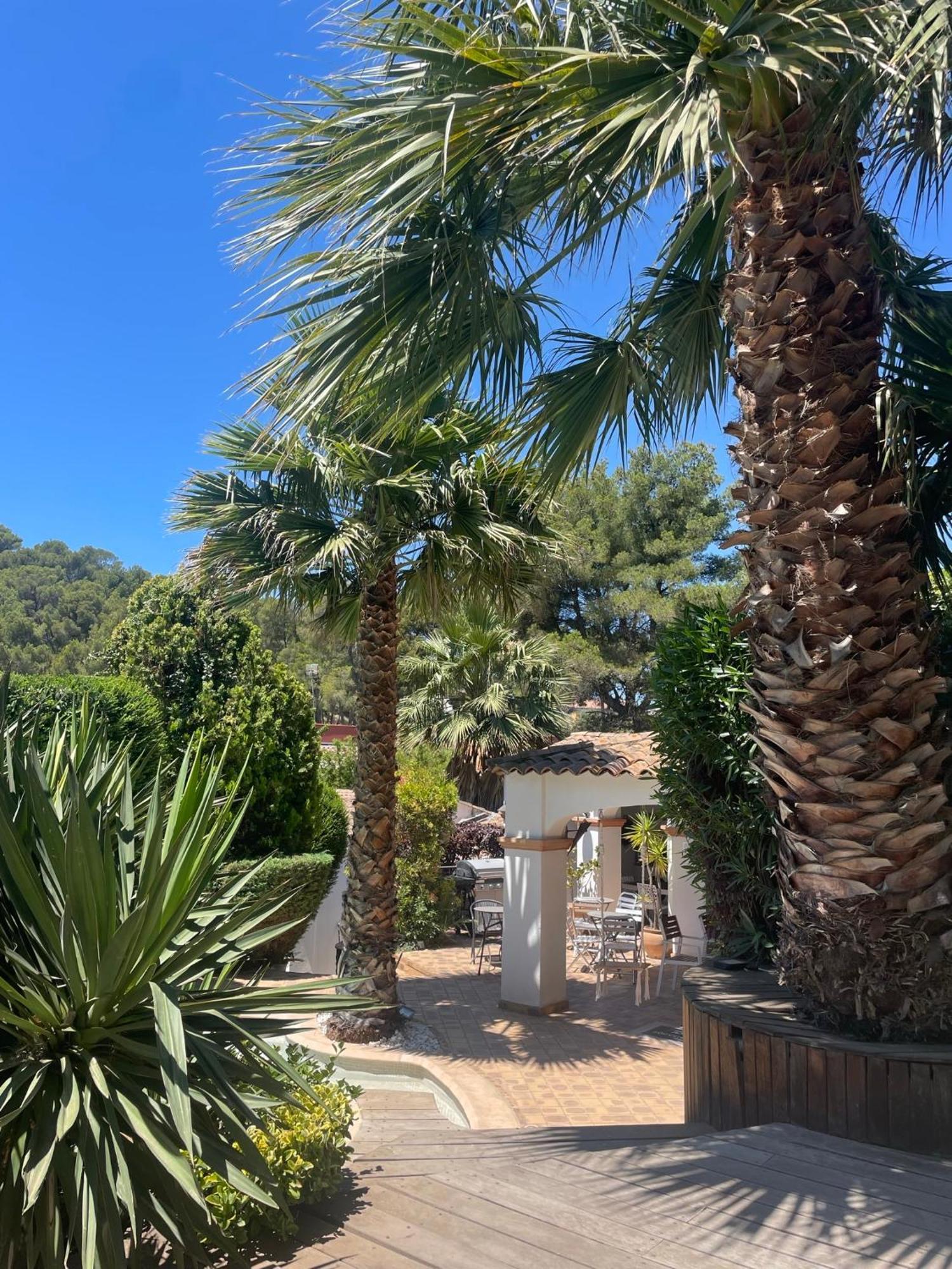 Apartment La Saint Jean Bas De La Ciotat